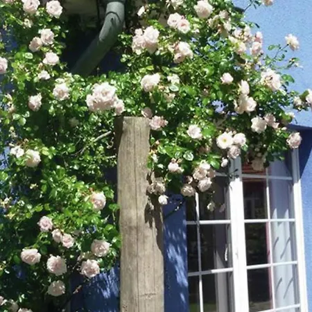 Appartement Quaint In On Baltic Coast *